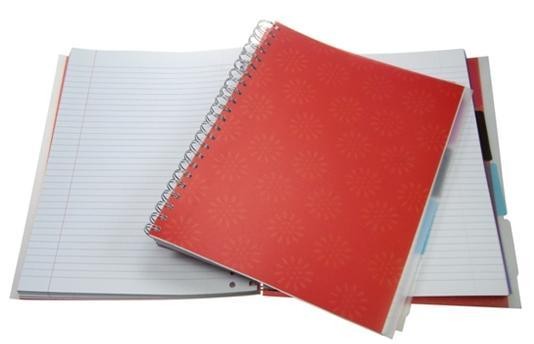 Binnenshuis spreken Bestaan Luxe Schrijfblok (A4) NICHE met 4 tabbladen, oranje rood - Schrijfblokken A4  - Officeknallers voor al uw kantoorartikelen, inbinden en lamineren met  100% service